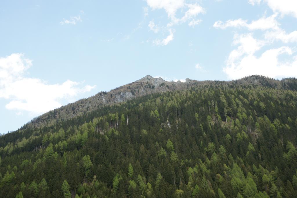 Appartement Saeuleck Mit Kaerntencard Mallnitz